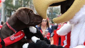 Slapshot, Biscuit, Washington Capitals Mandatory Credit: Geoff Burke-USA TODAY Sports