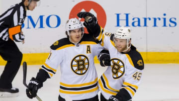 Feb 13, 2016; Saint Paul, MN, USA; Boston Bruins forward Loui Eriksson (21) celebrates his goal with defenseman Joe Morrow (45) in the third period against the Minnesota Wild at Xcel Energy Center. The Boston Bruins beat the Minnesota Wild 4-2. Mandatory Credit: Brad Rempel-USA TODAY Sports