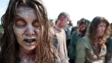 Image: The Walking Dead/HBO