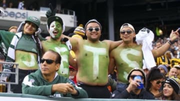 Nov 9, 2014; East Rutherford, NJ, USA; Fans of the New York Jets celebrate during the first half of the New York Jets game against the Pittsburgh Steelers at MetLife Stadium. Mandatory Credit: Ed Mulholland-USA TODAY Sports