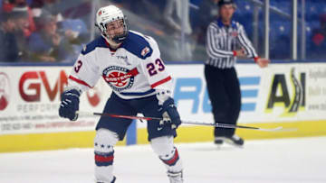 PLYMOUTH, MICHIGAN - JANUARY 17: Lane Hutson (Photo by Mike Mulholland/Getty Images)