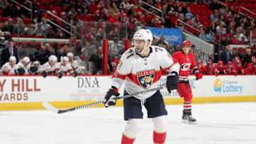 RALEIGH, NC - DECEMBER 3: Radim Vrbata