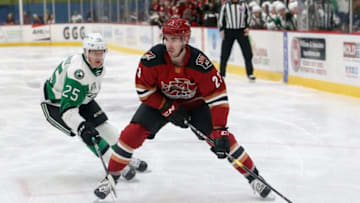 TUCSON, AZ - JANUARY 21: Tucson Roadrunners defenseman Kyle Capobianco (23) controls the puck during a hockey game between the Texas Stars and the Tucson Roadrunners on January 21, 2019, at Tucson Convention Center in Tucson, AZ. (Photo by Jacob Snow/Icon Sportswire via Getty Images)