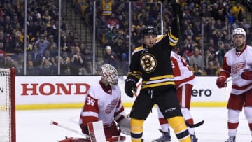 Apr 7, 2016; Boston, MA, USA; Boston Bruins left wing Matt Beleskey (39) reacts in front of Detroit Red Wings goalie Jimmy Howard (35) after a goal during the second period at TD Garden. Mandatory Credit: Bob DeChiara-USA TODAY Sports