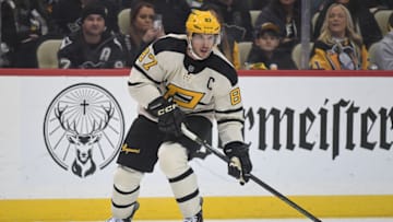 Penguins (Photo by Justin Berl/Getty Images)