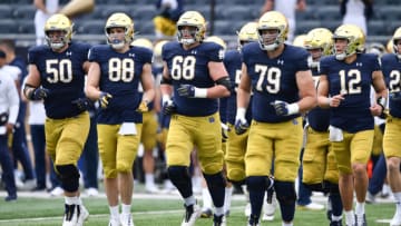 Notre Dame Fighting Irish. (Mandatory Credit: Matt Cashore-USA TODAY Sports)