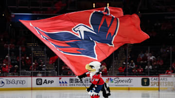 Slapshot, Washington Capitals (Photo by Scott Taetsch/Getty Images)