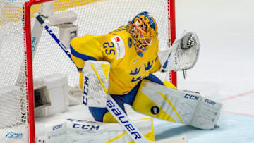 BRATISLAVA, SLOVAKIA - MAY 21: #25 Mikhail Grigorenko of Russia (not on photo) scores a goal against #25 Goalie Jacob Markstrom of Sweden during the 2019 IIHF Ice Hockey World Championship Slovakia group game between Sweden and Russia at Ondrej Nepela Arena on May 21, 2019 in Bratislava, Slovakia. (Photo by RvS.Media/Robert Hradil/Getty Images)