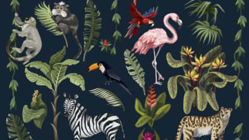 These animal facts are pretty wild.