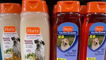 Hartz Shampoo. Photo Credit: Kimberley Spinney
