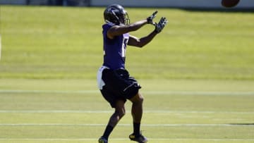 Jun 14, 2016; Baltimore, MD, USA; Baltimore Ravens wide receiver Mike Wallace (12) makes a catch across the middle during the first day of minicamp sessions at Under Armour Performance Center. Mandatory Credit: Tommy Gilligan-USA TODAY Sports