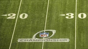 Mandatory Credit: Dale Zanine-USA TODAY Sports