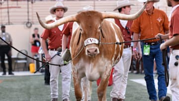 Texas Football Mandatory Credit: Scott Wachter-USA TODAY Sports