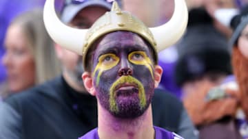 MINNEAPOLIS, MN - DECEMBER 08: A Minnesota Vikings fans in the stands during the game against the Detroit Lions at U.S. Bank Stadium on December 8, 2019 in Minneapolis, Minnesota. (Photo by Adam Bettcher/Getty Images)