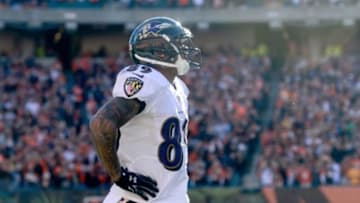 Oct 26, 2014; Cincinnati, OH, USA; Baltimore Ravens wide receiver Steve Smith (89) reacts after catching a pass for a touchdown but called back due to a penalty during the fourth quarter against the Cincinnati Bengals at Paul Brown Stadium. Bengals defeated the Ravens 27-24. Mandatory Credit: Andrew Weber-USA TODAY Sports