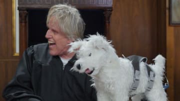 Gary Busey: Pet Judge. Image Courtesy Brenden Wedner