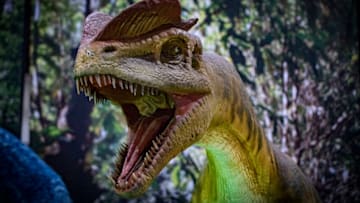 General view of nimatronic dinosaurs on display (Photo by Daniel Knighton/Getty Images)