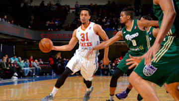 New York Knicks John Jenkins (Photo by David Dow/NBAE via Getty Images)