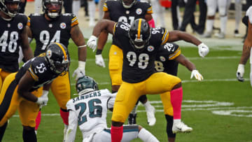 Vince Williams #98 of the Pittsburgh Steelers (Photo by Justin K. Aller/Getty Images)