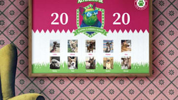 Keylightful Creates The First-Ever Dog Fraternity. Image Courtesy Keystone Light