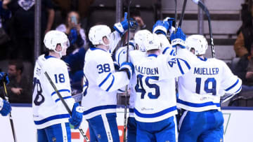 TORONTO, ON - NOVEMBER 25: The Toronto Marlies celebrate their win against the Belleville Senators during AHL game action on November 25, 2017 at Air Canada Centre in Toronto, Ontario, Canada. (Photo by Graig Abel/Getty Images)