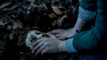 BRAHMS: The Boy II, photo courtesy STX
