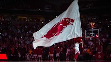 Feb 20, 2016; Fayetteville, AR, USA; Arkansas Razorbacks mascot Big Red waves the Razorback flag before the start of a game with the Missouri Tigers at Bud Walton Arena. The Razorbacks won 84-72. Mandatory Credit: Gunnar Rathbun-USA TODAY Sports