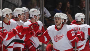 UNIONDALE, NEW YORK - SEPTEMBER 23: Michael Rasmussen #27 of the Detroit Red Wings celebrates his second period goal against the New York Islanders at NYCB Live's Nassau Coliseum on September 23, 2019 in Uniondale, New York. (Photo by Bruce Bennett/Getty Images)