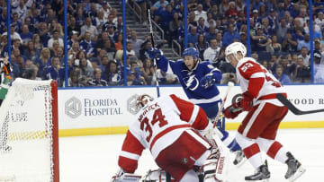 Oct 13, 2016; Tampa, FL, USA; Tampa Bay Lightning center Tyler Johnson (9) reacts after he scored a goal against Detroit Red Wings during the third period at Amalie Arena. Tampa Bay Lightning defeated the Detroit Red Wings 6-4. Mandatory Credit: Kim Klement-USA TODAY Sports