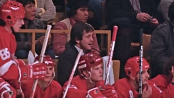 TORONTO, ON - JANUARY 5: Head Coach Brad Park of the Detroit Red Wings watches the play develop against the Toronto Maple Leafs during NHL game action on January 5, 1986 at Maple Leafs Gardens in Toronto, Ontario, Canada. (Photo by Graig Abel/Getty Images)