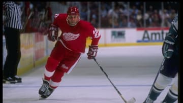 9 Mar 1995: Rightwinger Ray Sheppard of the Detroit Red Wings moves down the ice during a game against the Anaheim Mighty Ducks at Arrowhead Pond in Anaheim, California. The game was a tie, 4-4. Mandatory Credit: Glenn Cratty /Allsport