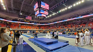 Auburn gymnastics