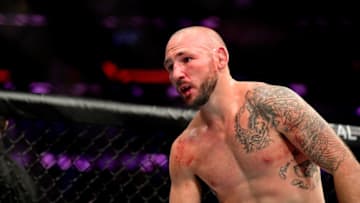 NEW YORK, NY - NOVEMBER 03: Lando Vannata of the United States reacts after the second round in his lightweight bout against Matt Frevola (not pictured) during the UFC 230 event at Madison Square Garden on November 3, 2018 in New York City. (Photo by Steven Ryan/Getty Images)