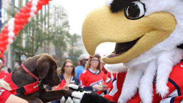 Slapshot, Biscuit, Washington Capitals Mandatory Credit: Geoff Burke-USA TODAY Sports