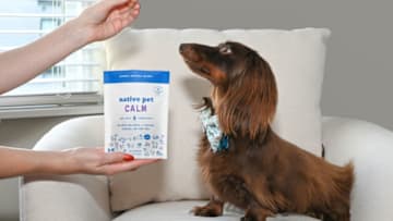 Native Pet, a natural, highly effective, limited-ingredient pet supplement brand with thousands of 5-star reviews on Amazon and Chewy. Native Pet is making it easy to support dogs with whole food ingredients. Image courtesy of Native Pet