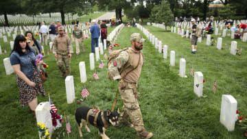 ARLINGTON, VA - MAY 29: U.S. Army veteran Jonathan Lopez, of Miami, Florida, and his dog, 2-year-old huskie Zoe, walk through Section 60 at Arlington National Cemetery on Memorial Day May 29, 2017 in Arlington, Virginia. Lopez works with Operation Enduring Warrior and participated in the Ruck to Remember, a 60 mile hike from Harpers Ferry to the cemetery over the Memorial Day weekend. Lopez served tours of duty in Kosovo, Bosnia and Macedonia with the Army Quick Reaction Force before being hit by a drunk driver and losing his arm in 2000. (Photo by Chip Somodevilla/Getty Images)