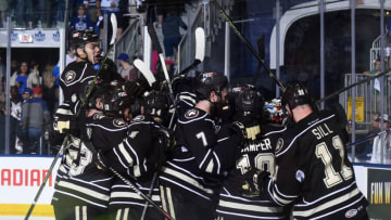 Hershey Bears, Washington Capitals (Photo Graig Abel/Getty Images) *** Local Caption ***