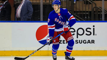 Dec 3, 2021; New York, New York, USA; Nils Lundkvist. Mandatory Credit: Danny Wild-USA TODAY Sports