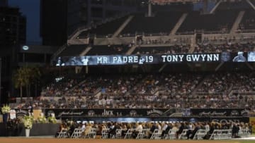 Jun 26, 2014; San Deigo, CA, USA; A general view of Tony Gwynn
