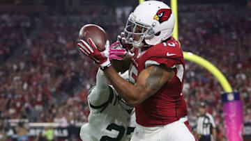 GLENDALE, AZ - OCTOBER 17: Wide receiver Michael Floyd