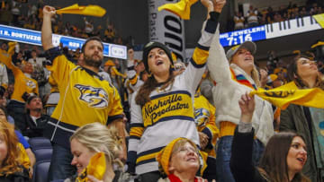Nashville Predators fans (Photo by Frederick Breedon/Getty Images)