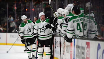 Mar 31, 2022; Anaheim, California, USA; Dallas Stars defenseman Ryan Suter (20) celebrates his power play goal scored against the Anaheim Ducks during the first period at Honda Center. Mandatory Credit: Gary A. Vasquez-USA TODAY Sports