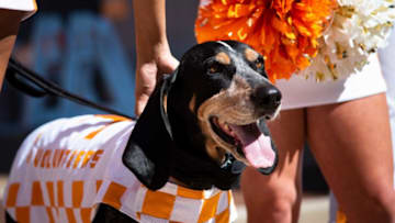 Smokey X in front of Neyland Stadium at the University of Tennessee in Knoxville, Tenn., on Wednesday, Oct. 14, 2020. The university is hosting Spirit Week instead of Homecoming because of the coronavirus pandemic. This is one of several events throughout the week.Spirit Week Smokey Meet Up92033