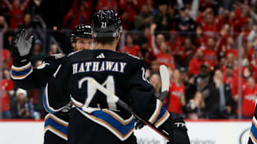 Nic Dowd, Garnet Hathaway, Washington Capitals Mandatory Credit: Geoff Burke-USA TODAY Sports