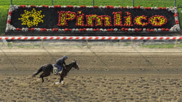 Horses on the track during a morning workout at Pimlico Race Course in Baltimore on Thursday, May 14, 2015, ahead of the 140th Preakness Stakes on Saturday. (Lloyd Fox/Baltimore Sun/TNS via Getty Images)