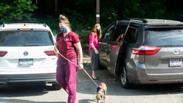 dogcentric spending (Photo by Mike Pont/Getty Images)