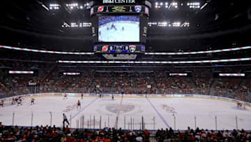 Florida Panthers (Photo by Mike Ehrmann/Getty Images)