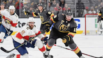 LAS VEGAS, NV - DECEMBER 17: Reilly Smith