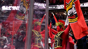 OTTAWA, ON - MAY 23: An Ottawa Senators fan cheers after the Ottawa Senators defeated the Pittsburgh Penguins with a score of 2 to 1 in Game Six of the Eastern Conference Final during the 2017 NHL Stanley Cup Playoffs at Canadian Tire Centre on May 23, 2017 in Ottawa, Canada. (Photo by Minas Panagiotakis/Getty Images)