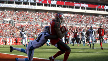 TAMPA, FL - JANUARY 1: Wide receiver Mike Evans